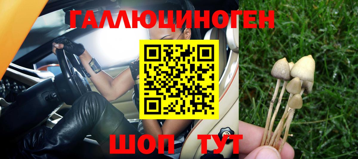 Ахтубинск  Псилоцибиновые грибы Psilocybe  Вход с VPN  закладка  Галлюциногенные грибы прущие грибы 